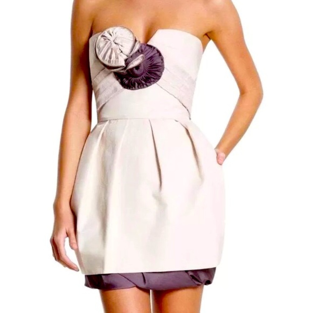 BCBG two tone strapless dress